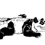 Profile Picture of Pandile - A Fascinating Combination of Panda and Crocodile - Pinterest (@pinterest.com) on Google