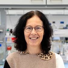 Georg-Speyer-Haus: Our Team