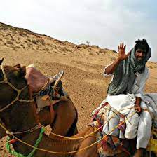 Your camel ride will take about 60 to 90 minutes to reach our luxury camp. Help With A Guest House Camel Safari Tour Company In Jaisalmer Rajasthan India