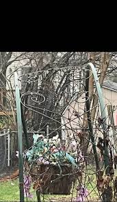 Water dripping like diamonds