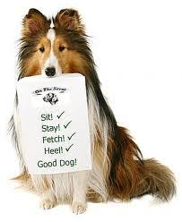We did not find results for: Teach Your Dog Some Contextual Heeling