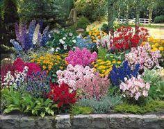 Accueil › plantes de jardin › les plantes vivaces. 62 Meilleures Idees Sur Fleurs Vivaces De Jardin Fleurs Vivaces Vivaces Jardins