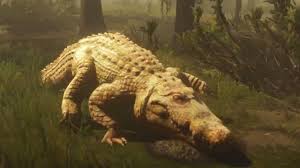 I really don't think crocs are worth 3 legendarys. Playing As Alligators In Red Dead Redemption 2 Youtube