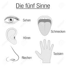 Five Senses Chart With Sensory Organs Eye Ear Tongue Nose