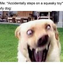 Tumblr Funny Animal Jokes Funny Animal Quotes Animal Jokes