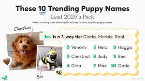 Image result for Pet Names