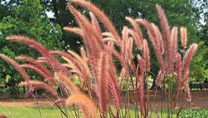 Pin Auf Fruhling Auf Der Terrasse