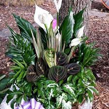 Browse the kremp website at your convenience and order easily by phone or online. Carney Flower Shop 10 Reviews Florists 1398 Canton Rd Marietta Ga Phone Number Yelp