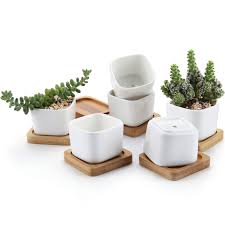 T4u 2 Inch Small White Succulent Planter Pots With Bamboo Tray Square Set Of 6 Ceramic Succulent Air Plant Flower Pots Cactus Faux Plants Containers White Modern Decor For Home And Office