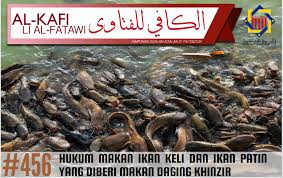 Pakan ikan nila terbagi menjadi dua, alami dan pelet. Pejabat Mufti Wilayah Persekutuan Al Kafi 456 Hukum Makan Ikan Keli Dan Ikan Patin Yang Diberi Makan Daging Khinzir