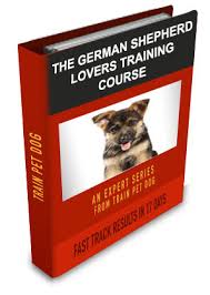 German shepherd puppies are usually easy to house train, more especially if they have been used to living in a house with their mother and litter. German Shepherd Training Tips History More Trainpetdog