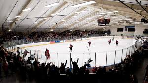 Need professional rat control in the house? Hobbs Municipal Ice Arena City Of Eau Claire Wisconsin