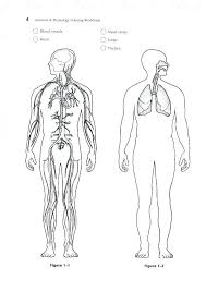Anatomy And Physiology Coloring Pages Free Collection Anatomy And Physiology Coloring Book Anatom Coloring Pages Anatomy And Physiology Anatomy Coloring Book