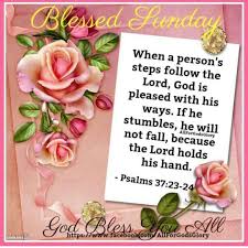 The following inspirational quotes are related to happy sunday quotes, sunshine quotes for sunday, sunday blessing quotes, sunday fitness quotes, sunday evening quotes, sunday prayer quotes, sunday morning blessing quotes, happy sunday images ( stock images ).these inspirational quotes are selected perfectly for sundays. Pin On Live Life