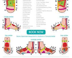 foot reflexology acupuncture points chart sole, yapay zekayla üretilmiş