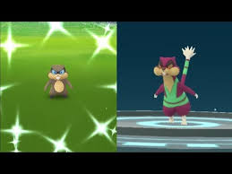We Caught Shiny Patrat Pokemon Go Shiny Patrat Evolves Into Shiny Watchog