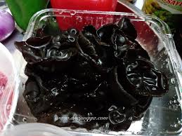 Mee tarik by master of noodles. Resepi Mee Tarik Black Fungus