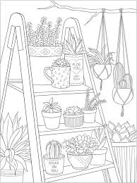 3 succulent and cactus themed coloring pages dimensions. Succulents Tohono Chul Tucson Az