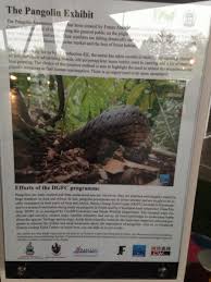 Check spelling or type a new query. Sol Milne Phd On Twitter Loving The New Pangolin Sculpture By Danau Girang At Sandakan Airport Made From Recycled Plasticwaste And Promoting Pangolinconservation Https T Co Ubscet2jt9