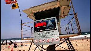 Candylab toys was born out of our desire to revive the glamorous '60s american modernist vibe and carve it into awesome contemporary. Going In The Water Again Jaws Boat Clone Supports Sharks Kutv
