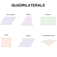 what are the types of quadrilaterals