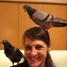 Happy Birthday Wishes to Clare Malone Prichard