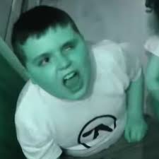 Review of Drukqs by pancakelizard