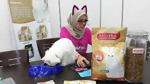 Mau nanya saya lagi pertimbangkan pakai equilibrio atau kitchen flavor buat makanan si kucing krn dr segi harga hampir. Ramai Yang Tak Tahu Pasal Kebaikan Misha Makanan Kucing