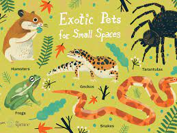 10 Best Exotic Pets For Small Spaces