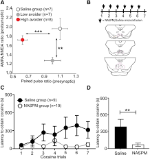 We continue our tour of the nervous system with a look at synapses and the crazy stuff cocaine does to your body.pssst. Synaptic Adaptations At The Rostromedial Tegmental Nucleus Underlie Individual Differences In Cocaine Avoidance Behavior Journal Of Neuroscience