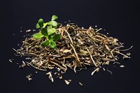 Brahmi Uses Benefits Dosage Side Effects Ayurvedic Uses Of Bacopa Monnieri In 2020 Ayurvedic Herbs Bacopa Monnieri Side Effects