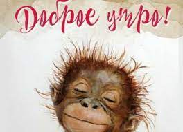 Доброе утро смешные картинки ⋆ оригинальные и забавные