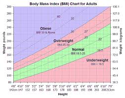 12 Bmi Chart Metric Business Letter