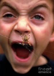 Spider Boy Photos for Sale