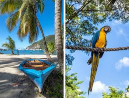 The guadeloupe islands offer a very wide selection of activities. Things To Do In Guadeloupe In The French Caribbean On The Luce Travel Blog