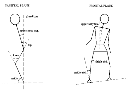 The muscles of the torso, examined in the previous chapter, include a few that attach directly into the. Reference Angles Sketch Download Scientific Diagram