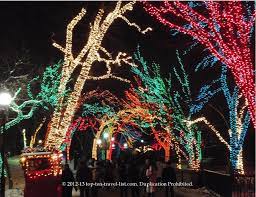 50 Fun Things To Do This Winter In Chicago Top Ten Travel Blog Chicago Christmas Zoo Lights Chicago Travel