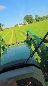 Strawberry Shortcake and Jams: Summer Delights | TikTok