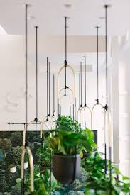 bolo hanging planter hanging planters hanging planters indoor hanging air plants