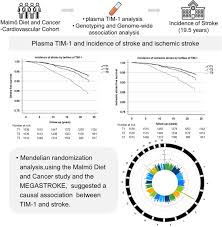 Check spelling or type a new query. Association Of Tim 1 T Cell Immunoglobulin And Mucin Domain 1 With Incidence Of Stroke Arteriosclerosis Thrombosis And Vascular Biology