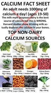 And is calcium as important as we've been told it is? Calcium Rich Foods Non Dairy Vegan Calcium Vegan Nutrition Healthy