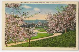 Asheville North Carolina Vintage Linen Postcard Mountain Mountain Decor Rustic Art Mountain Wall Decor