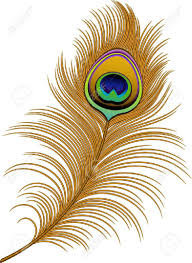 Bird Feather Clipart Black And White Peacock Feather Over White Peacock Feather Art Feather Art Feather Clip Art