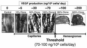 Cell migration and neuronal differentiation: signaling programs in space  and time