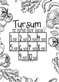Tursu Kurma Etkinligi Tursum Ne Zaman Hazir Olacak Activitiesandcraftsbybusra Ogretmenimize Tesekkur Rehber Ogretmen Etkinlik Gunleri Egitim Faaliyetleri