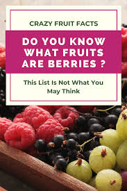 What Fruits Are Berries This List Is Not What You May Think In 2020 Fruit Facts Food Facts Fruit