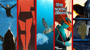 Based on the ya trilogy by jenny han, it became one of netflix's most successful original films in 2018. More Documentaries Like Seaspiracy To Watch On Netflix What S On Netflix