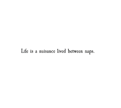 One Liner Quotes 24 life quotes one liners. archivo2012 heraldo es