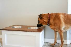 The bottom drawer actually conceals two stainless steel dog bowls for your dog's food and water, and the top drawer opens up from the top for easy storage — while the middle drawer functions just like a normal drawer would. Diy Dog Food Station With Storage Addicted 2 Diy