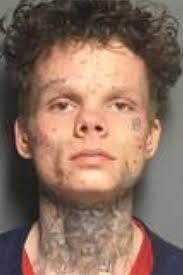 Police say Hoover man hit Springville officer with stolen car